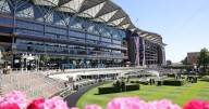 British horseracing on strike - why the industry is fighting against the government