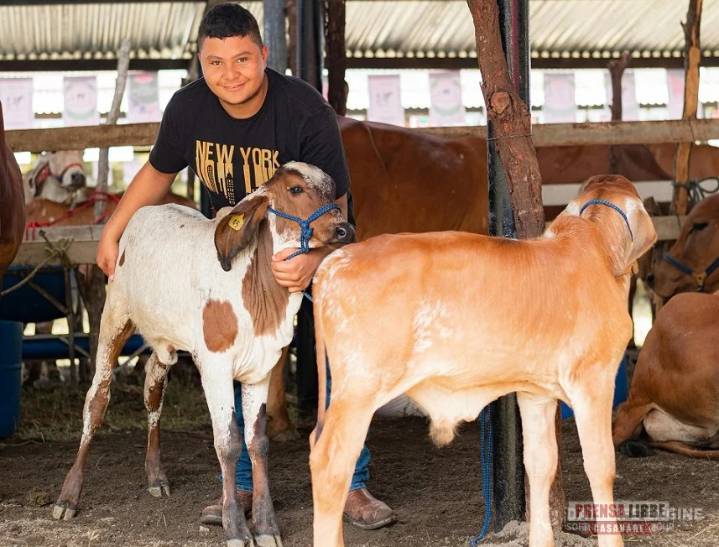 SENA Casanare busca ajustar y proyectar programas de capacitación con la cadena productiva ganadera