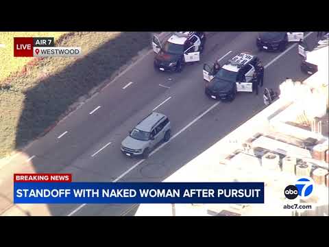 Naked driver in standoff with LAPD after chase ends