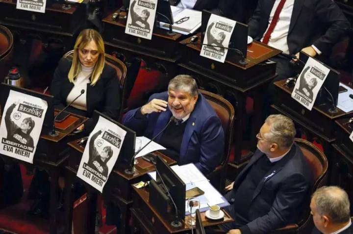 El Senado tratará el rechazo al veto sobre discapacidad y la reforma de los DNU