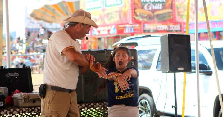 Fright and delight at the Santa Cruz County Fair