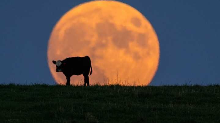When can you see the Corn Moon? See peak time, forecast
