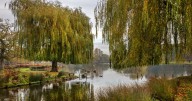 The underrated London park with deer that's perfect for autumn walks