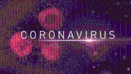 List of Coronavirus Cases in the Bay Area