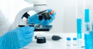 Connecticut Sees 45.8% Decline in Foodborne Disease Outbreaks Since COVID
