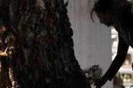 En Bolivia veneran a un árbol al que se le atribuyen milagros