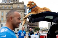 Detroit Lions injury report today vs. Browns: Starting LT, DE are good to go
