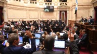 Nueva derrota de Milei en el Senado: aprobaron una reforma que limita los DNUs