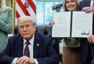 Trump calls for RICO charges after protesters shouted at him: 'She started screaming!'
