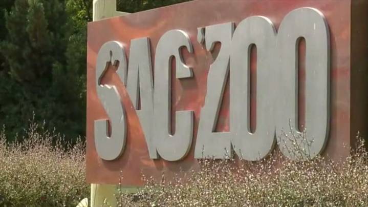 Sacramento Zoo requests expansion of existing Land Park location
