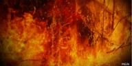 Kershaw County Fire, SC Forestry works to quell large brush fire