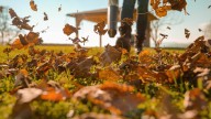 DeWalt Leaf Blower Owners Find They Share One Common Complaint