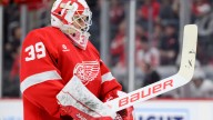Red Wings improve to 2-0 in preseason with 5