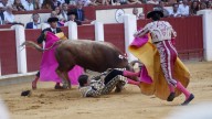 Milagro y oreja de Roca Rey en Valladolid