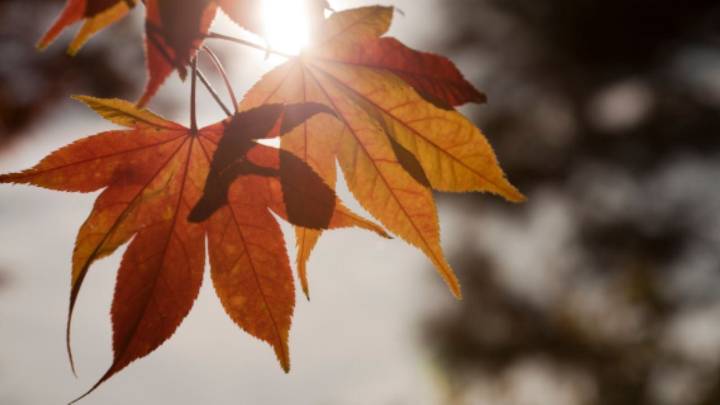 ¿Qué significa el equinoccio de otoño y por qué es especial?
