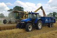 Soybean farmers face ‘desperate situation’ amid inflation, weather extremes and tariffs