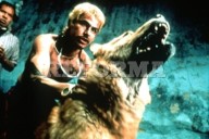 'Amores Perros' celebra 25 años con función en Bellas Artes
