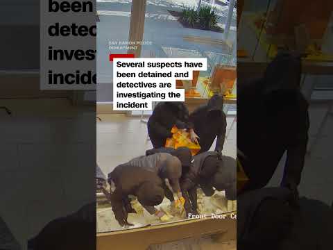 Brazen jewelry store robbery caught on camera