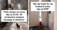 50 Of The Most Wholesome Cat Posts That Warmed Many People’s Hearts