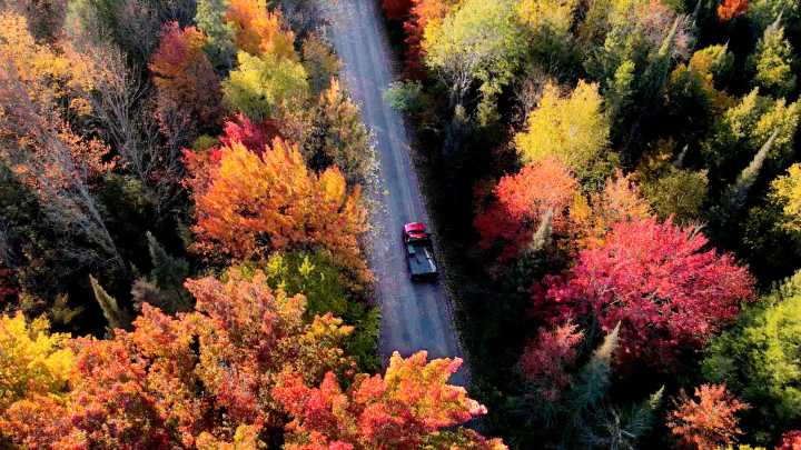 Planning a color tour in Michigan? Here's what you should know