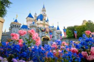 Meghan Markle, Prince Harry Celebrate Disneyland in New '20/20' Special: Trailer