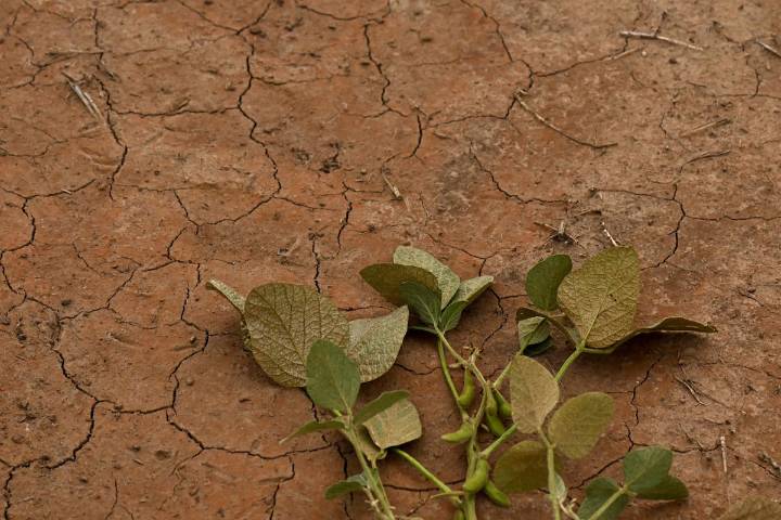 Una paradoja que se agrava. América Latina y el Caribe, la tierra del agua desafiada por la sed