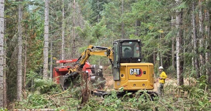 Weather shift aids Foley Ridge Fire containment efforts