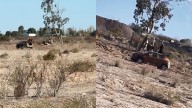 Denuncian a dos mujeres por realizar un presunto ritual con un cerdo colgado