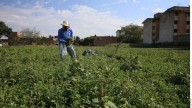 Aumentará recurso a programas agro