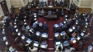 Senado vuelve a la carga y podría revertir definitivamente el veto a la discapacidad