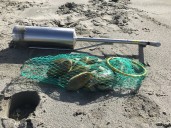 WDFW announces 47 tentative days of coastal razor clam digging beginning Oct. 6