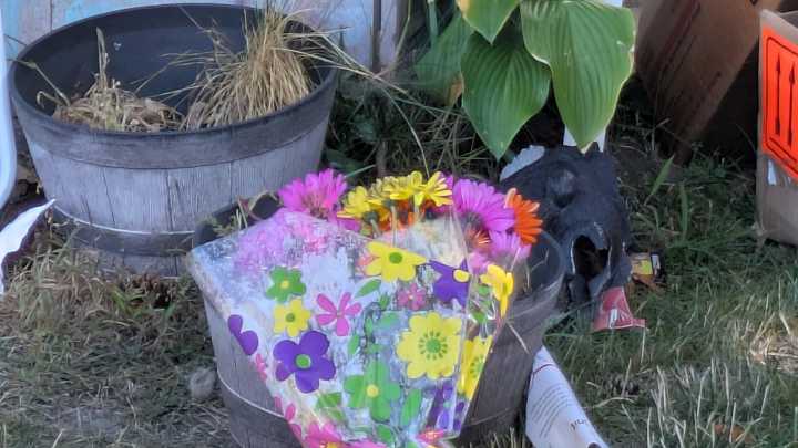Port Huron boy and girl recovering after shooting at Glenview Garden