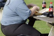 Identifican mecanismo contra la obesidad sin reducir el consumo de alimentos