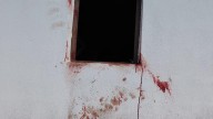Muere un joven ganadero de un infarto tras presenciar los restos de varios ataques de un oso a su granja en Laciana