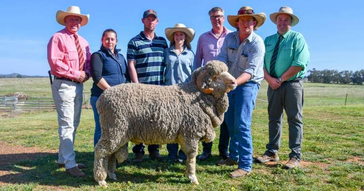 Langdene Merino September 2025 ram sale Dunedoo results