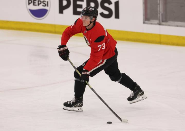 Chicago Blackhawks: Lukas Reichel in 'prove it' mode at camp