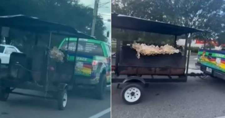 Captan a cubanos asando un cerdo en púa mientras conducen por carretera de Texas