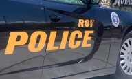 Police looking for driver they say fled scene after hitting woman in Roy