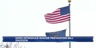 New bill would let Wisconsinites stop themselves from buying a gun