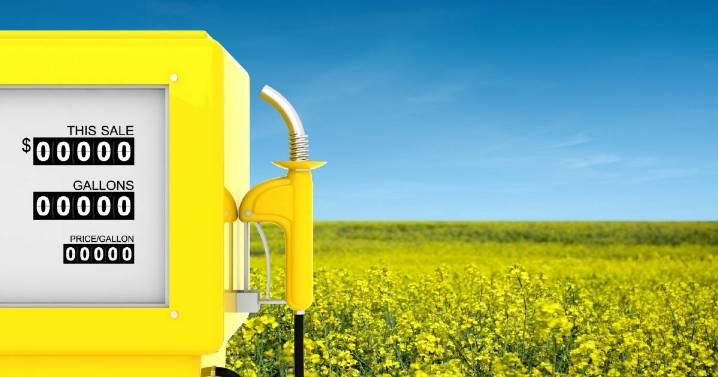$1.1bn investment in Australia's clean biofuel production