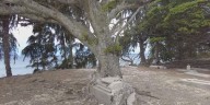 Kalaupapa reopens to visitors, tours resume after years