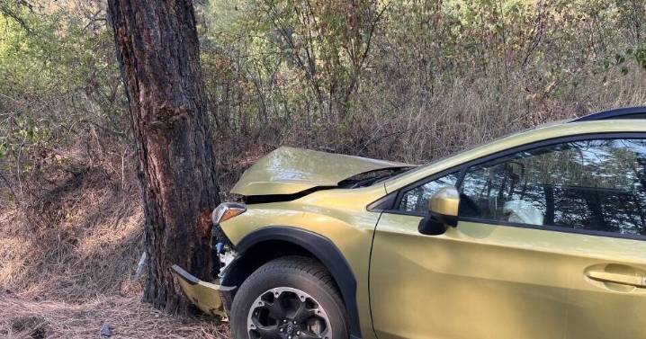 Chattaroy man cited after crashing his car in Ahsahka, fleeing the scene