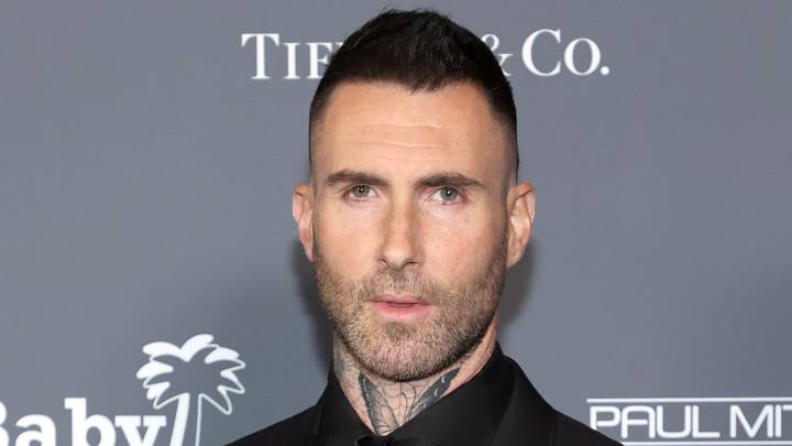 The Voice's Adam Levine accused of 'stealing' hit song and treating collaborator Travie McCoy like 'chopped liver'