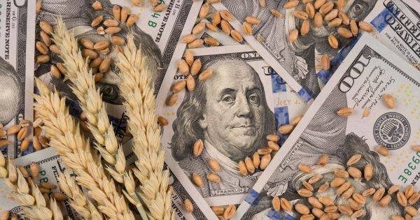 Retenciones cero: impulsan un "aporte extraordinario" a los que ganaron con la medida del Gobierno