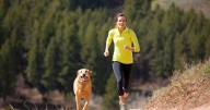 Top 10 most energetic dog breeds to help keep you in shape
