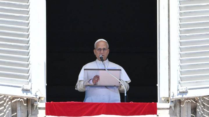 Pope Leo urges end to "pandemic of arms" after Minnesota shooting