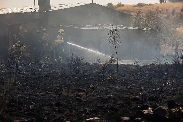 Agricultura aprueba ayudas directas a 460 agricultores y ganaderos afectados por los grandes incendios forestales de este verano