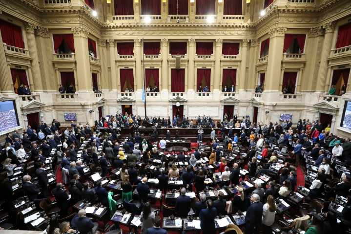 Vetos: la oposición convocó a una sesión especial para tratar las leyes de Financiamiento Universitario y de Emergencia en Pediatría