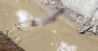 Hombre, al parecer, le amarraron ladrillos en los pies y lo arrojaron en la canal de Ibagué