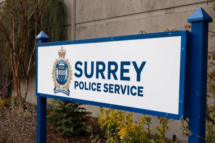 Surrey Police Service policy related to traffic noise enforcement deemed 'adequate'